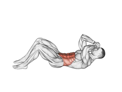 Abdomene 3/4