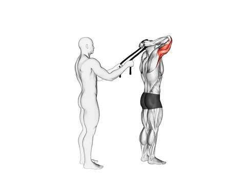Extensii pentru triceps în picioare, asistate (cu prosop)