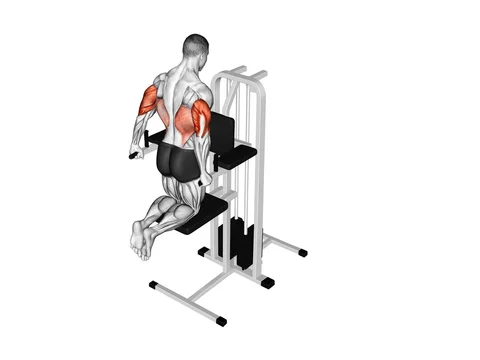 Dips pentru triceps asistate (îngenuncheat)