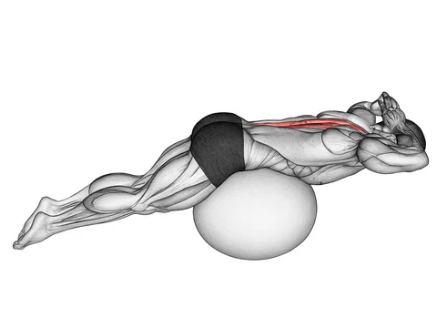 Extensii spate pe minge de exerciții