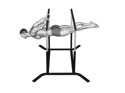 Back lever