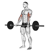 Flexii pentru biceps cu haltera