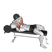 Extensie de triceps culcat cu haltera (skull crusher)