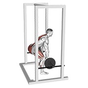Rack pull cu haltera