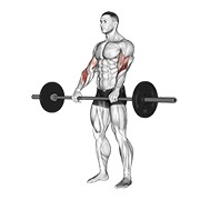 Flexii inverse cu haltera