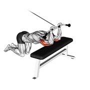 Extensie de triceps îngenuncheat, la cablu