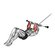 Extensie de triceps culcat, la cablu v. 2