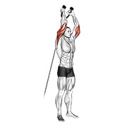 Extensie de triceps deasupra capului, la cablu (cu frânghie)