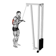 Extensie în jos la cablu (pushdown)