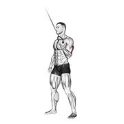 Extensie de triceps cu un braț, în picioare, la cablu