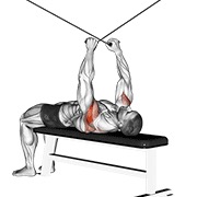 Fluturări inverse în decubit dorsal, la cablu