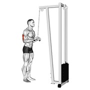 Extensie de triceps la cablu (bară V)