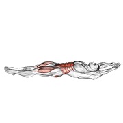 Cocon abdominal