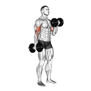 Flexii alternative pentru biceps cu gantere