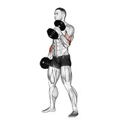 Flexii tip ciocan cu gantere