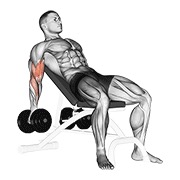 Flexii pentru biceps, înclinat, cu gantere
