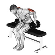 Extensie de triceps în spate, așezat, cu gantera