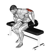 Extensie de triceps în spate, așezat, cu o mână, cu gantera