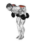 Extensie de triceps în spate, în picioare, cu gantera