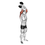 Extensie de triceps, în picioare, cu gantere