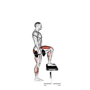 Step-up cu gantere