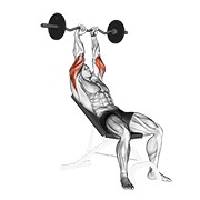 Extensie de triceps înclinată, cu bară EZ