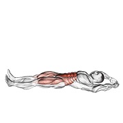 Abdomene tip briceag (jackknife)