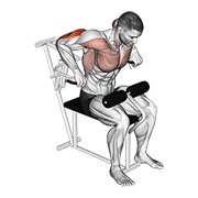 Dips pentru triceps cu priză pronată, la aparat