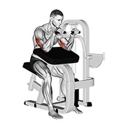 Extensie de triceps, la aparat