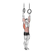 Muscle-up