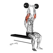 Extensie de triceps cu haltera olimpică