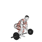 Power clean cu haltera
