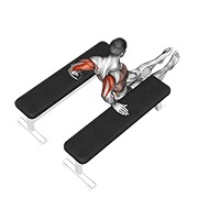 Dips pentru triceps (între bănci)