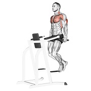 Dips pentru triceps
