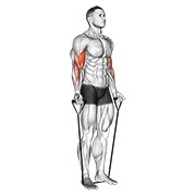 Flexii alternative pentru biceps cu bandă elastică