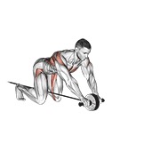 Rulare cu roata abdominală, asistată cu bandă elastică