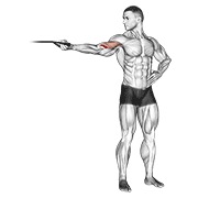 Flexie pentru biceps cu un braț, deasupra capului, cu bandă elastică