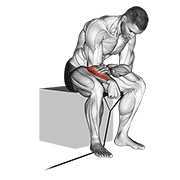 Flexie inversă de încheietură cu bandă elastică