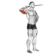 Extensie laterală pentru triceps cu bandă elastică