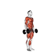 Burpee cu gantere