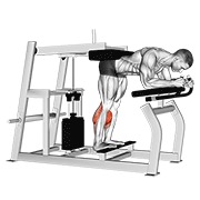 Ridicare de gambe aplecat, la aparat (donkey calf raise)