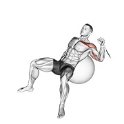 Împins înclinat cu un braț, pe minge de exerciții, la cablu