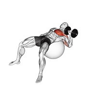 Împins cu o mână, pe minge de exerciții, cu gantera