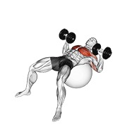 Împins pe minge de exerciții, cu gantere