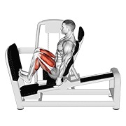 Ridicare de gambe în genuflexiune, la presa pentru picioare
