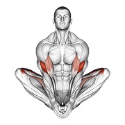 Poziția fluture (yoga)