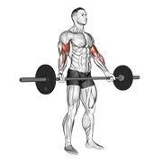 Flexii pentru biceps cu priză largă, în picioare, cu haltera