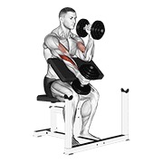 Flexii tip ciocan alternative la pupitru, cu gantere