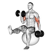 Flexii alternative pentru biceps cu piciorul ridicat, pe minge de exerciții, cu gantere