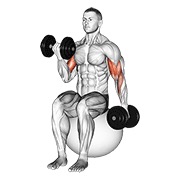 Flexii alternative pentru biceps, așezat pe minge de exerciții, cu gantere